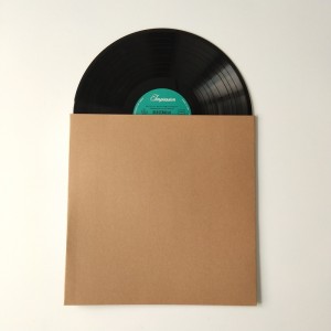 12 Vinil 33 RPM Records Cardboard LP Casacos Capa